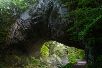 The summer valley illuminated by the morning sun