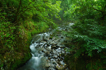 The summer valley illuminated by the morning sun