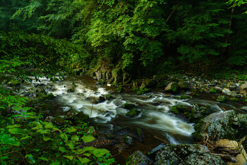 The summer valley illuminated by the morning sun