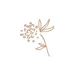 Minimalist Line Art Flower Illustration – Botanical Stems & Branches