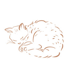 Minimalist Line Art Sleeping Cat Illustration