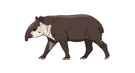Fototapeta premium Isolated illustration featuring a brown tapir gracefully walking on a plain white background showcasing wildlife diversity for environmental awareness