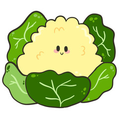 Cute Kawaii Cauliflower Cartoon Illustration.