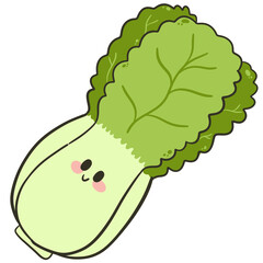 Cute Kawaii Bok Choy Cartoon Illustration.