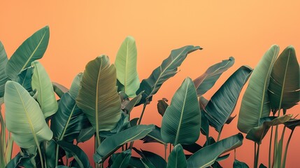 layered composition of banana leaves and monstera leaves in varying shades of green, set against a gradient sunset orange background