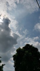 A tree stands against a cloudy sky on a bright day with sun peeking through