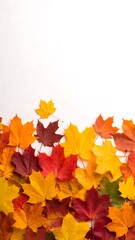 Fototapeta premium Autumn leaves border on white background