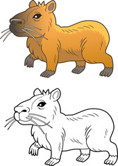 capybara coloring book for children