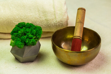 mortar and pestle with herbs