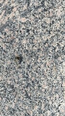 polished granite texture with fine grain pattern and natural stone surface