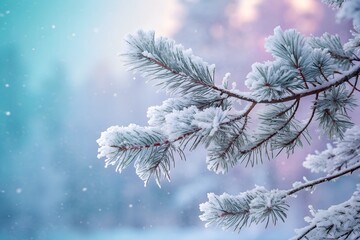 Obraz premium Magical winter scene with snow covered pine branch against dreamy blue and pink background