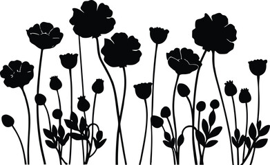 poppy flowers silhouette in meadow style