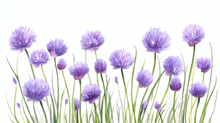 Obraz premium A beautiful watercolor illustration of purple flowers with green stems and leaves, arranged in a natural setting