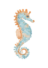 Hand painted watercolor illustration of seahorse isolated on white background. Marine life clipart for kids design, ocean theme, print, poster, sticker.