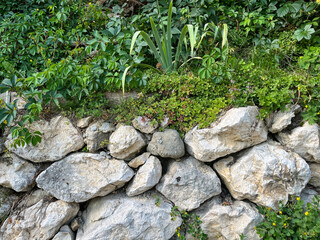 Stone Wall with Plants
