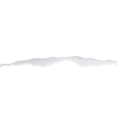 White paper torn in the middle with a rough edge.