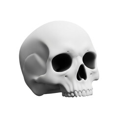 Obraz premium White human skull model in three quarter view.