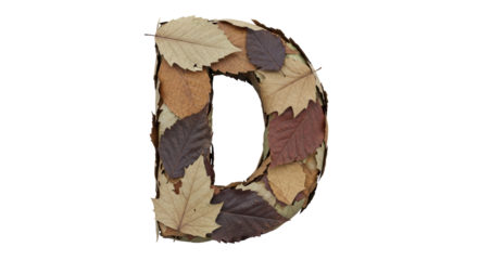 Isolated Letter D Made of Leaves