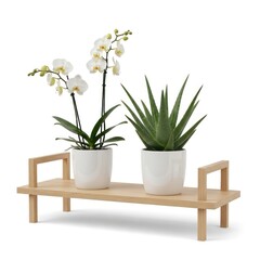 Orchids and aloe on wooden plant stand