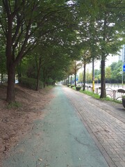 Obraz premium an urban alley