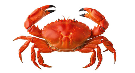 Isolated Cooked Crab