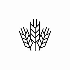 three wheat stalks icon sign vector