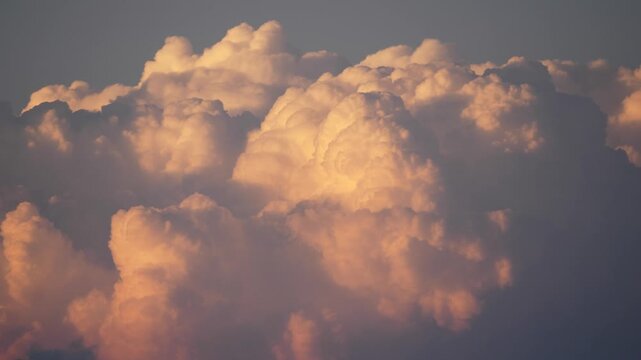 Pan across fluffy tops of cumulonimbus cloud bathed in pink side light at sunset