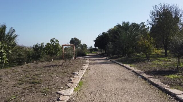 Video Gideon Grove Nahal Harod Trail in Israel