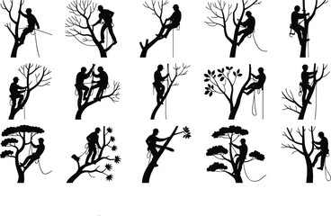 Silhouette Vector Set of Arborists Tree Climbing with Safety Gear, Working on Trees, Tree Cutting and Pruning, Professional Arboriculture