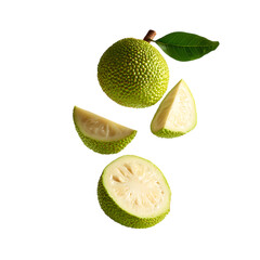 Fototapeta premium Breadfruit with half slices falling or floating png