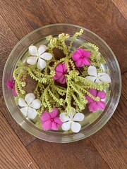 Floral Water Decoration with White and Pink Petals