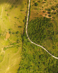 Dirt road cutting through forest and green grassy pastures