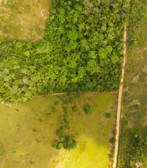 Aerial view of the environmental reserve area, dirt road and pastures