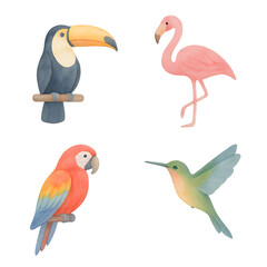 Naklejka premium Watercolor tropical birds clipart transparent PNG 2x2 set toucan flamingo macaw parrot hummingbird hand painted isolated cut out for nursery kids education decor branding