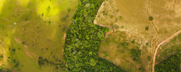 Environmental reserve area between grass pastures used for raising animals