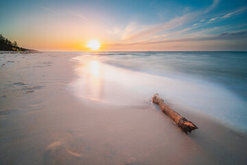 Driftwood on a Beach at Sunset