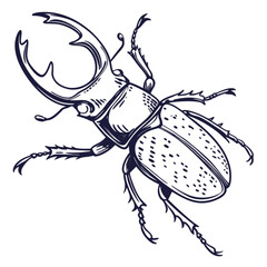Minimilist illustration of a stag beetle with large mandibles and dotted elytra in black and white sketch style vector