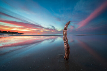 Driftwood on a Beach at Sunset