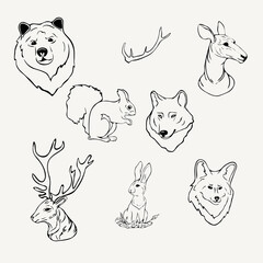 Obraz premium set of forest animals, wolf, doe, hare, fox, bear, horn, squirrel, deer