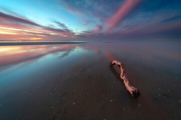 Driftwood on a Beach at Sunset