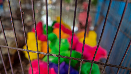 sale of chickens at the market. Painted chickens to attract customers as decorative © max5128