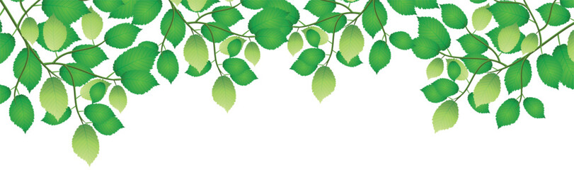 Horizontal Leaves Floral Seamless Border Vector design