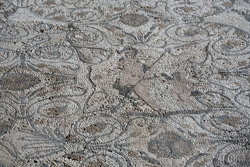 Ancient Mosaic Floor with Geometric Patterns from Casa del Anfiteatro in Merida