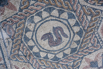 Ancient Mosaic with Snake Motif from Casa del Anfiteatro in Merida, Spain