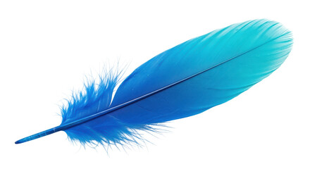 Isolated Feather