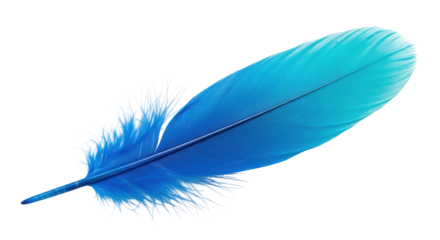 Isolated Feather