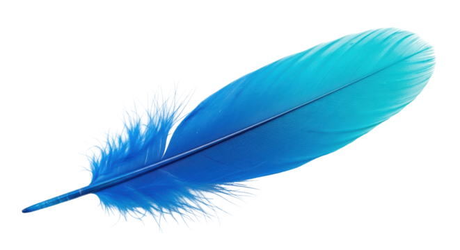 Isolated Feather