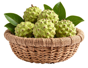 Fototapeta premium Photorealistic wicker jute basket filled with fresh cherimoya