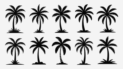 Fototapeta premium Palm Tree Silhouette Vector Icons | Coconut Tree, Tropical Beach, Summer Clipart Design