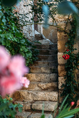 Old stone staircase surrounded by green vines and flowers in a rustic village. Slow travel, countryside tourism, mindful living, heritage hospitality